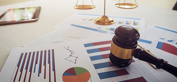 Real Estate Litigation